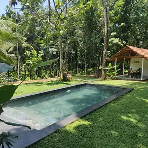  Villa Pool - The Humming Trees, Pala