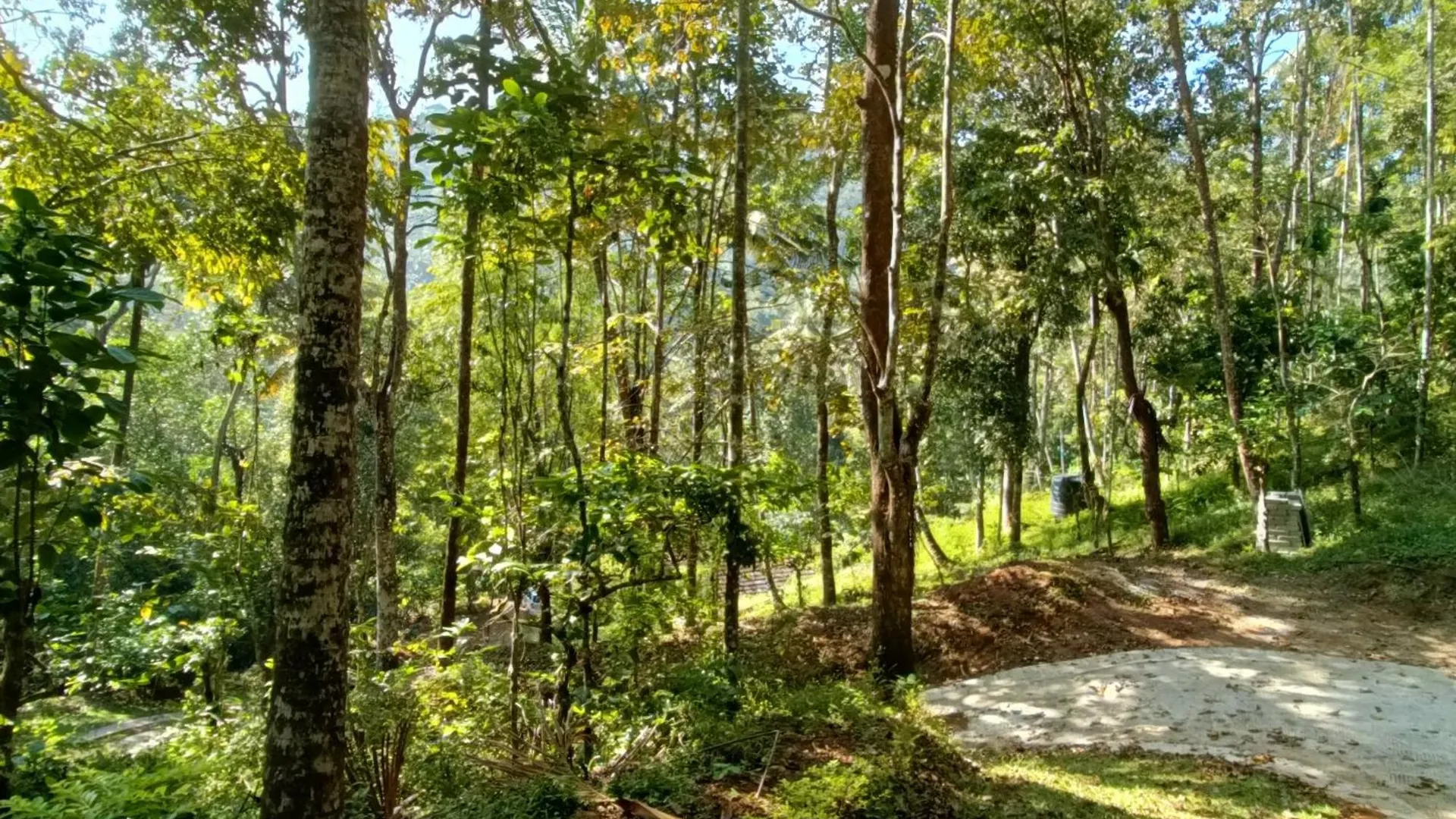 Eden Thottam Homestay Idukki